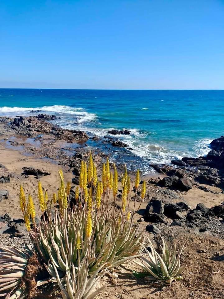 Casa Florida Villa Puerto del Carmen  Kültér fotó